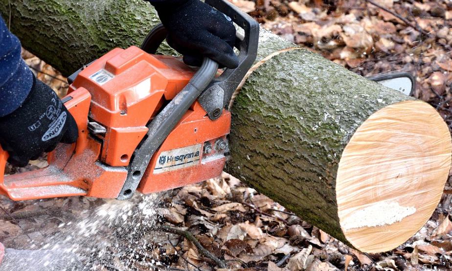 Quel est l’intérêt d’acheter la tronçonneuse Husqvarna 445 ?